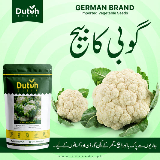 Cauliflower Seeds - Phool Gobi ka Beej - پھول گوبھی کے بیج - Anika Hybrid F1 - Home Gardening