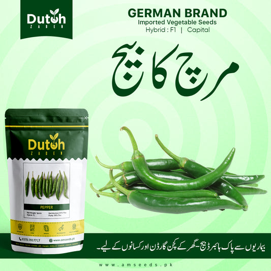 Green Chilli Capital (Hybrid F1) - Smart Long Hari Mirch - ہری مرچ - Dark Green & Spicy
