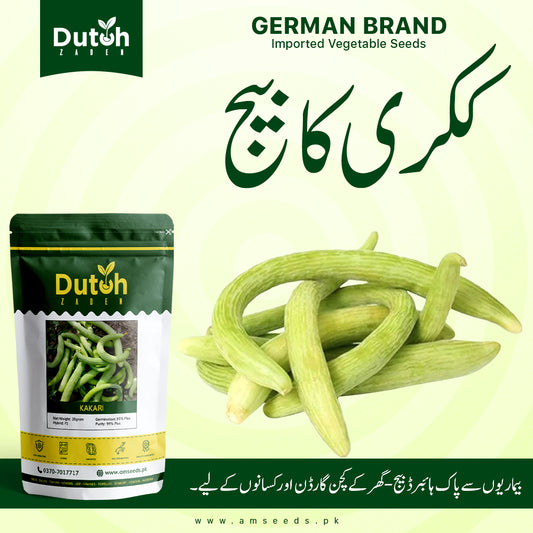 Kakri Spring (Hybrid F1) - Snake Melon / Tar - ککڑی - Light Green - Summer Vegetable