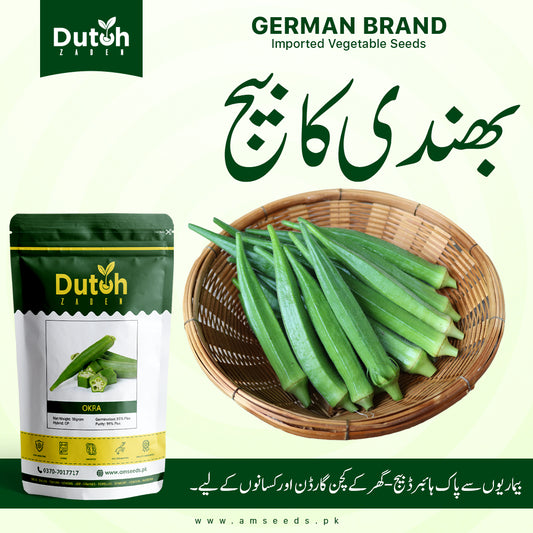 Okra Seeds - Bhindi ka Beej - بھنڈی کے بیج - Summer King Hybrid F1 - Home Gardening