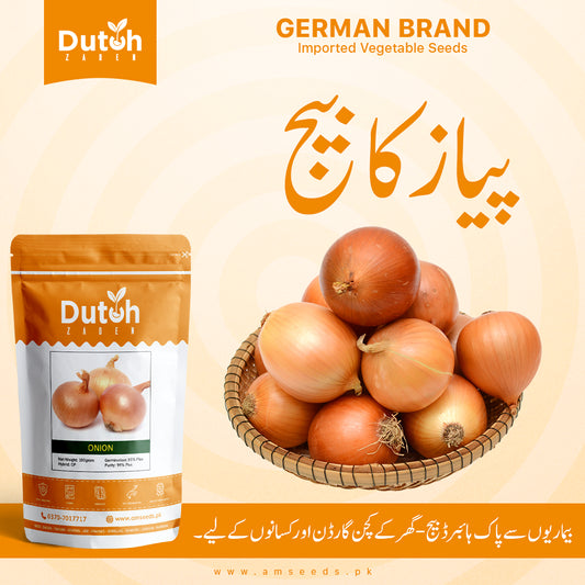Onion Seeds - Pyaaz ka Beej - پیاز کے بیج - Vertus OP - Home Gardening