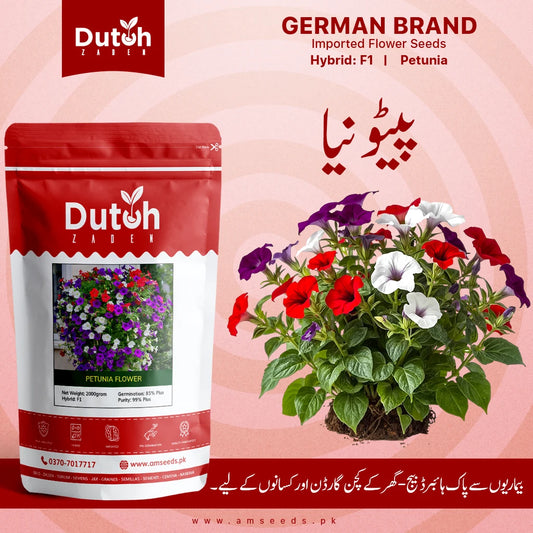Petunia Flower Seeds F1 Hybrid Flower Seeds