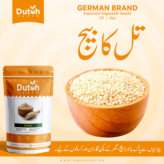 Sesame Star (OP) - Safed Till - سفید تل - Pure White & High Yield