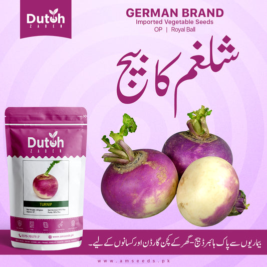 Turnip (Royal Ball Hybrid F1) - Shalgam - شلجم - Purple Top White Globe