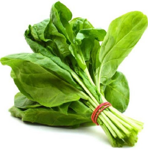 Spinach in Pakistan Benefits, Care, How to Grow in Kitchen Gardening