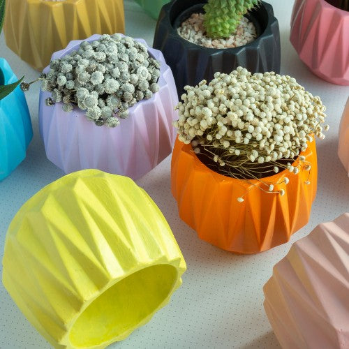 Vegetable and Flower Pots