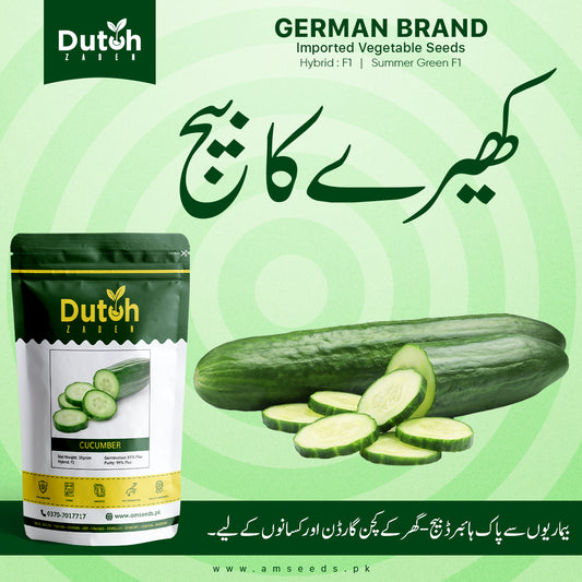Cucumber Summer Green Hybrid F1 - Khira / Tar Seeds - کھیرا