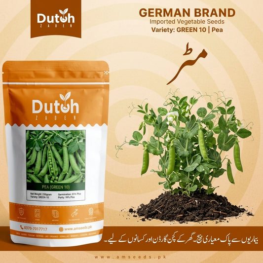 Green 10 Pea Seeds Pakistan – مٹر کے بیج
