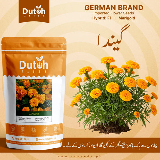 Marigold Flower Seeds F1 Hybrid Flower Seeds