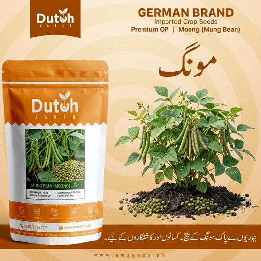 MoongSeedsPakistan