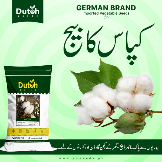Premium Cotton Seeds (OP) - Kapas - کپاس - Excellent Germination