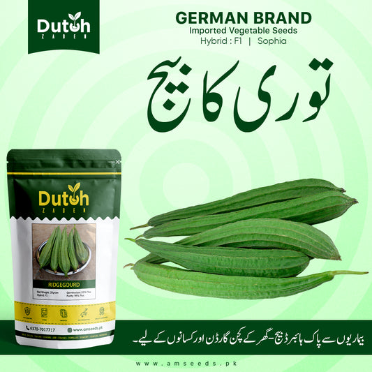 Ridge Gourd (Sophia Hybrid F1) - Kali Tori - کالی توری - Green & Tender
