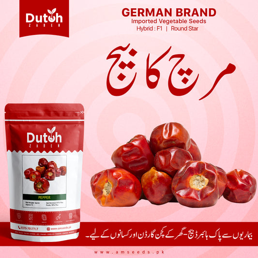 Round Red Chili (Round Star Hybrid F1) - Gol Button Mirch - گول لال مرچ - High Pungency