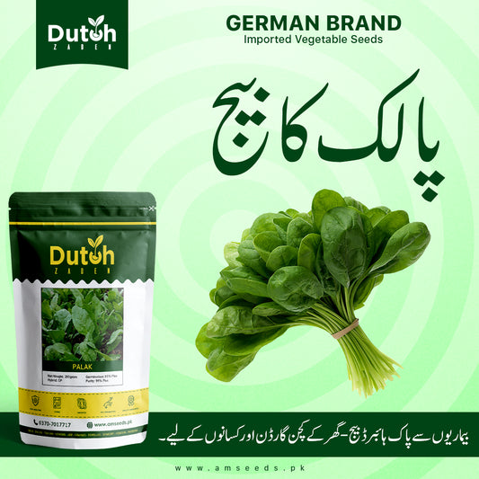 Spinach Palak Seeds - Palak ka Beej - پالک کے بیج - All Green OP - Home Gardening