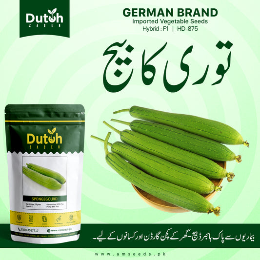 Sponge Gourd (HD-875 Hybrid F1) - Ghiya Tori - گھیا توری - Light Green & Early Harvest