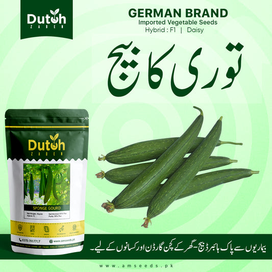 Sponge Gourd (Daisy Hybrid F1) - Dark Green Ghiya Tori - گھیا توری - Fast Growing