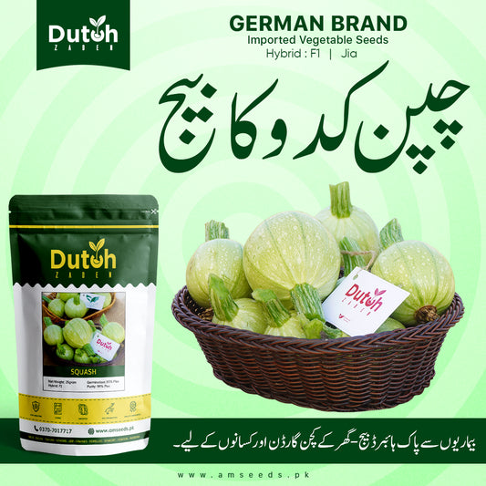 Squash Jia (Hybrid F1) - Round Chappan Kaddu - گول چپن کدو - Heavy Yield