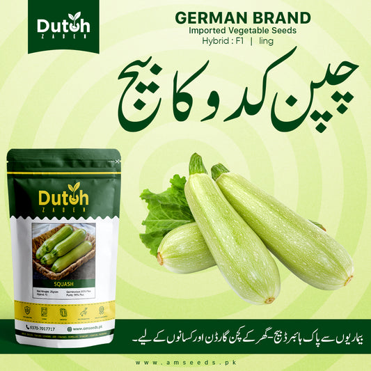 Squash (Ling Hybrid F1) - Long Chappan Kaddu - لمبا چپن کدو - Early Maturing