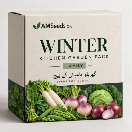 Winter Kitchen Garden Pack – Family – vegetable seed bundle