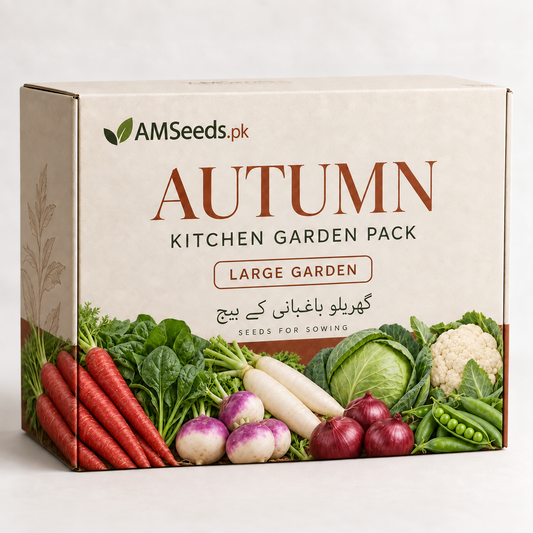 Autumn Kitchen Garden Pack – Large Garden – vegetable seed bundle