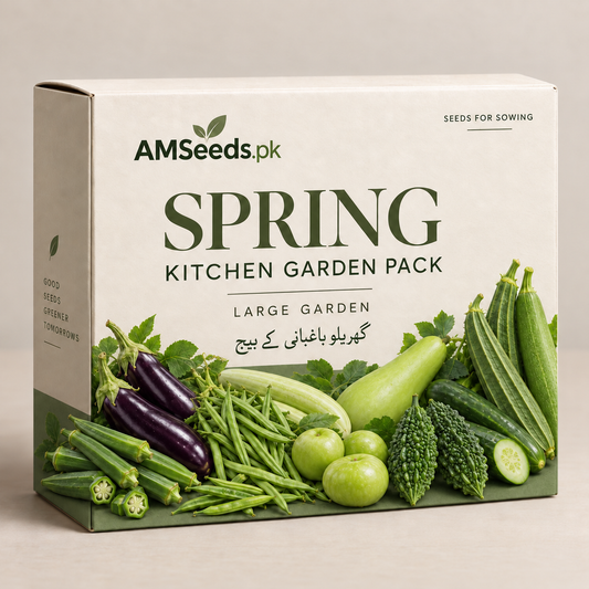 Spring Kitchen Garden Pack – Large Garden – vegetable seed bundle